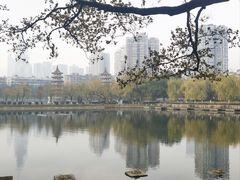 -宝岛公园
