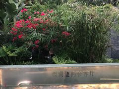 -五合院·整点烤肉