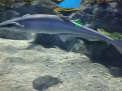 -常州海昌海洋探索馆