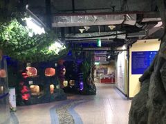 -上海大自然野生昆虫馆(东方明珠·爬宠昆虫探索中心)