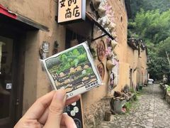 -杨家堂村