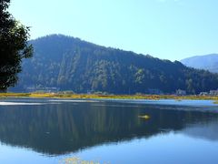 -腾冲北海湿地