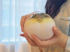 -肆月河豚·淮扬菜·湘菜(华天店)