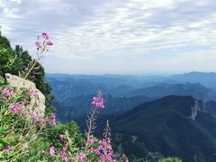 -白草畔自然风景区