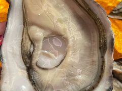 -普朗姆生蚝牛排馆 The Plump Oyster(成都摩方购物中心店)