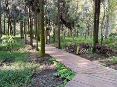-东平国家森林公园