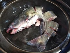 -满兴咱妈烀饼铁锅炖(兰州北街店)