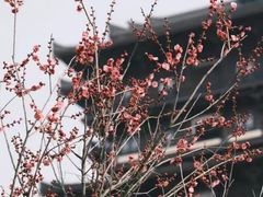 -汉中石门栈道风景区