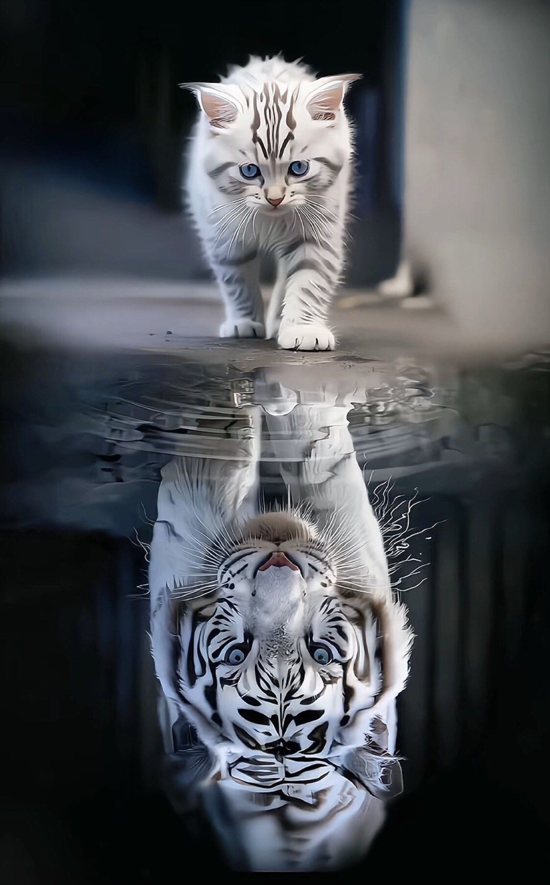 集拼图记生活照猫画虎就是这么来的吧,哈哈,好有意思的一幅图!