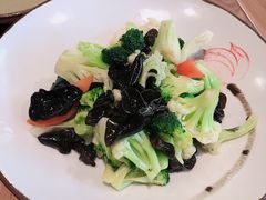-顺承小院儿