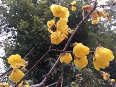 -江苏省美术馆(长江路新馆)