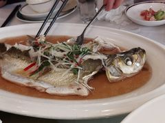 -老洋房花园饭店(绍兴路店)