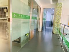 -爱侣宠医·鹦鹉专科·小型哺乳类·异宠专科(灵石路店)