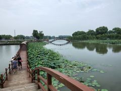 -白洋淀景区
