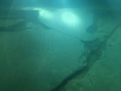 -白鹤梁水下博物馆