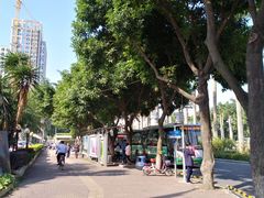 -番禺广场(市桥街道)