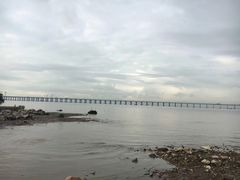 -宝安西湾红树林湿地公园