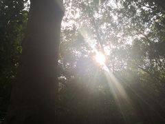 -广州市流溪河国家森林公园