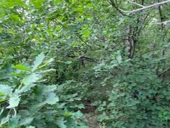 -沈阳辉山风景区