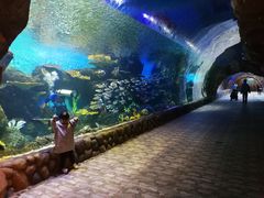 -华夏文旅海洋公园