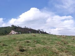 -硗碛藏寨·神木垒景区