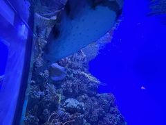 -鹿儿岛水族馆