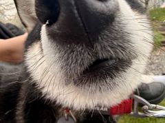 -Manner Coffee(徐汇滨江店)