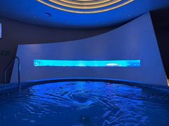 -涨巢·潮玩水疗局