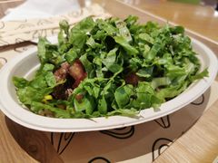 -油梨树 AVOCADO TREE(亮马桥店)