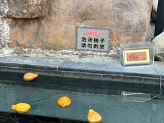 -裕龙汤泉