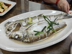 清蒸白鱼-观桥阁(锦溪店)