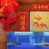 我亲手给这盘鸡肉做了“桑拿”，肉超嫩的～