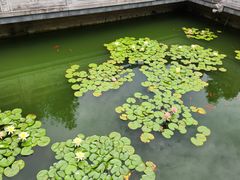 -卓刀泉寺