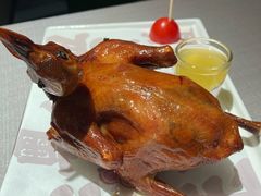 传统生炸红烧鸽-大鸽饭(体育西路店)