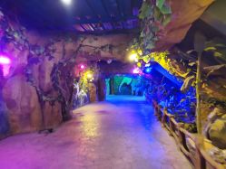 点击看大图 -宝燕乐园(闵行旗舰店)