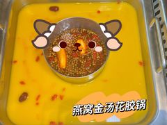 -大隐·成都火锅Bistro(合生麒麟新天地店)