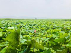 -处女泉风景名胜区