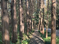 -同里国家湿地公园