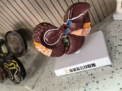 -半岛宠物医院24小时(白果林店)