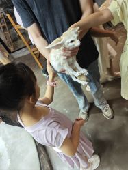 -Zoolung Zoolung动物主题公园(海信广场店)