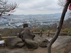-灵岩山风景区