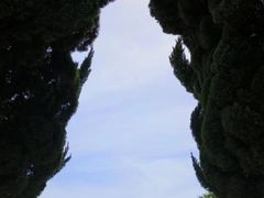 -小麦岛公园