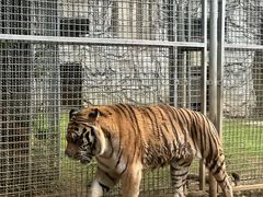 -黔灵山公园