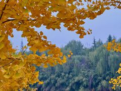 -西安汉城湖景区
