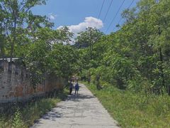 -云岫谷游猎自然风景区