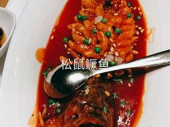 -同庆楼(华强吾悦广场店)