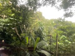 -广州锦绣香江度假别墅