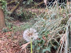 -贵阳市花溪国家城市湿地公园