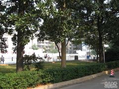 -长沙市青少年宫