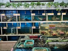 -鑫悦楼煎蟹·16年海鲜大排档